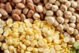 Better & Different Mixed Legume Cereal