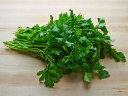 American Parsley
